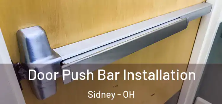  Door Push Bar Installation Sidney - OH